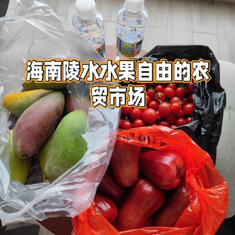海口商贸迎来春天：市场动态与机遇并存